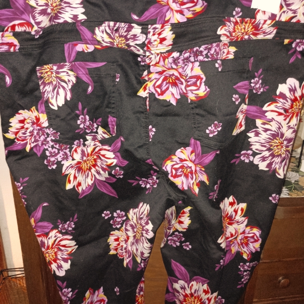 Women's Terra & Sky Plus Size 3X (24W-26W) Skinny Mid Rise Jeggings